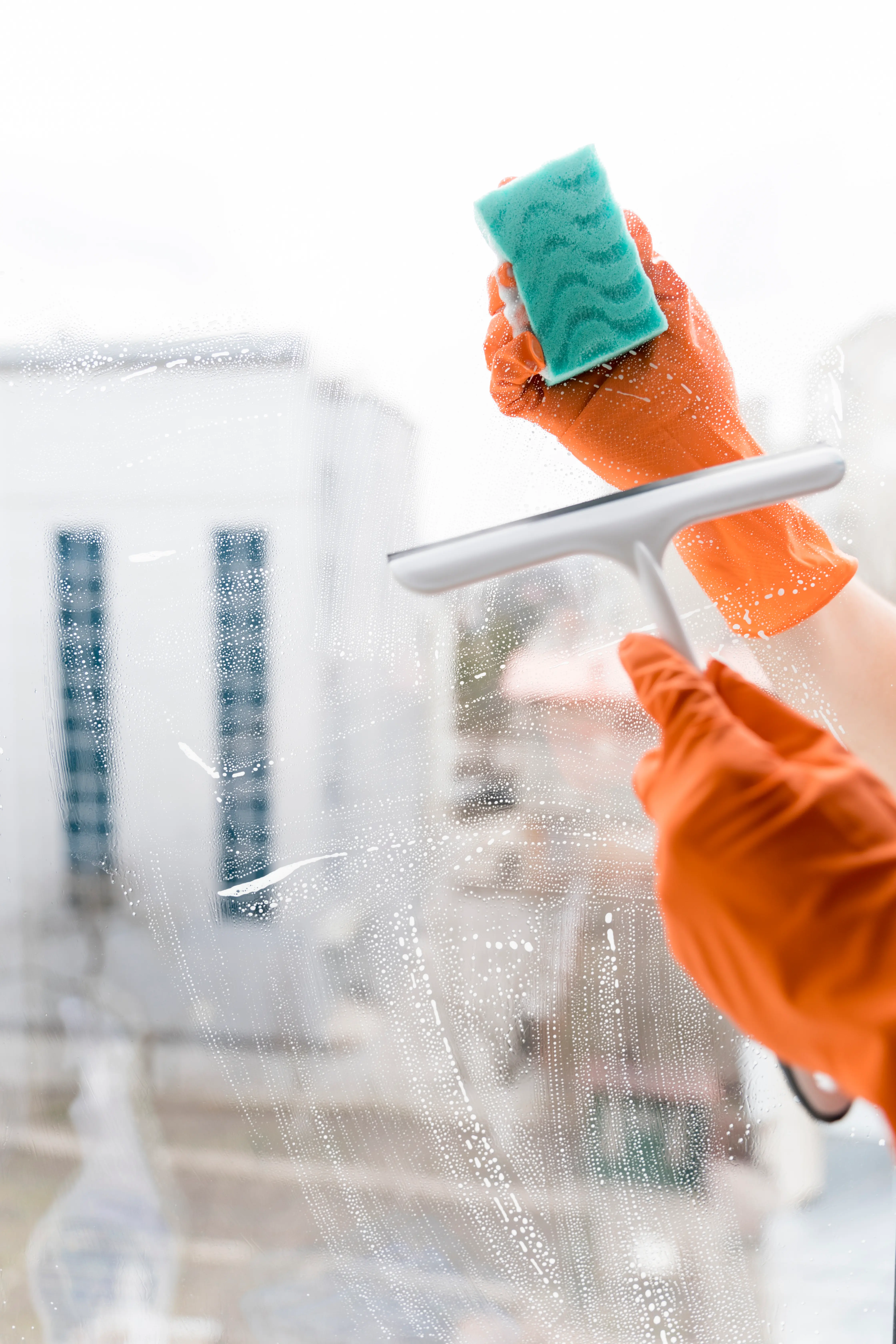 Photo of woman cleaning